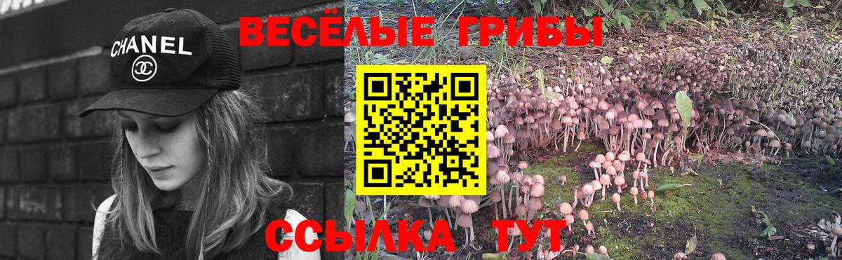 Псилоцибиновые грибы Cubensis  купить наркоту  Юрга  Вход с VPN 